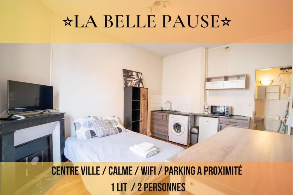 La Belle Pause - Studio Auxerre Proche Parking Bagian luar foto